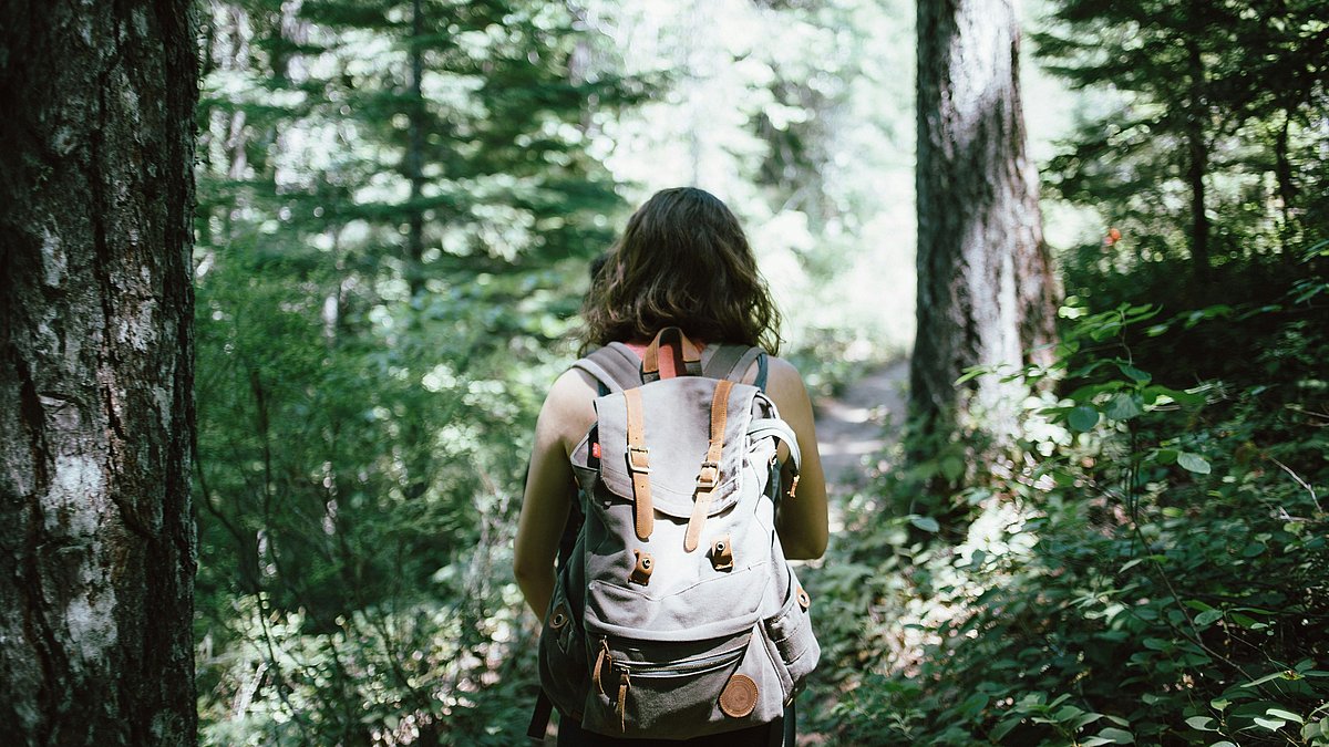 Person mit Rucksack auf einem schmalen Waldweg, umgeben von dichtem Grün und hohen Bäumen.