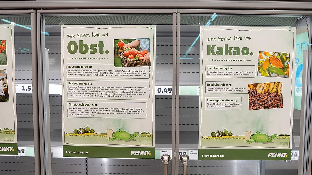 Supermarktaktion: Biene weg. Regale leer. Die Regale eines Penny Regals sind leergeräumt.