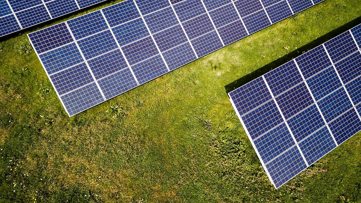 Mehrere Reihen von Solarmodulen stehen auf einer grünen Wiese. Die Aufnahme von oben zeigt die Anordnung der Photovoltaikmodule und die Vegetation zwischen den Anlagen.