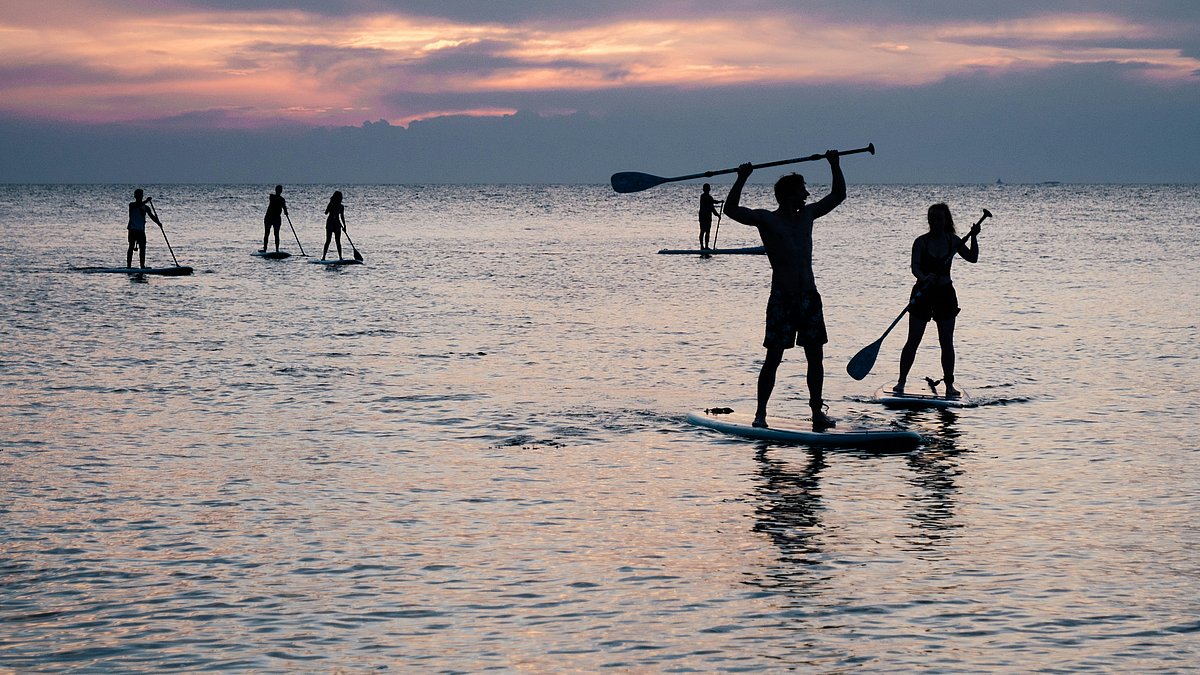 Mehrere Menschen gleiten auf Stand-Up-Paddle-Boards über ein ruhiges Gewässer und genießen gemeinsam die Bewegung auf dem Wasser.