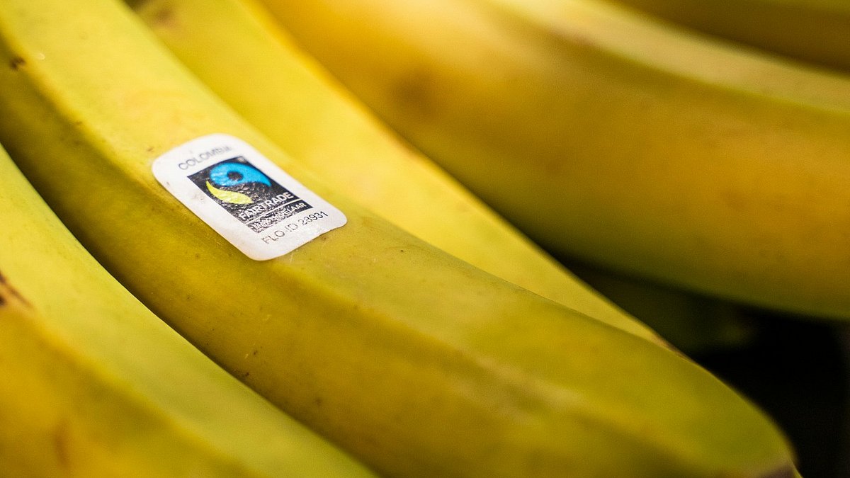Bananen mit einem Fairtrade-Aufkleber