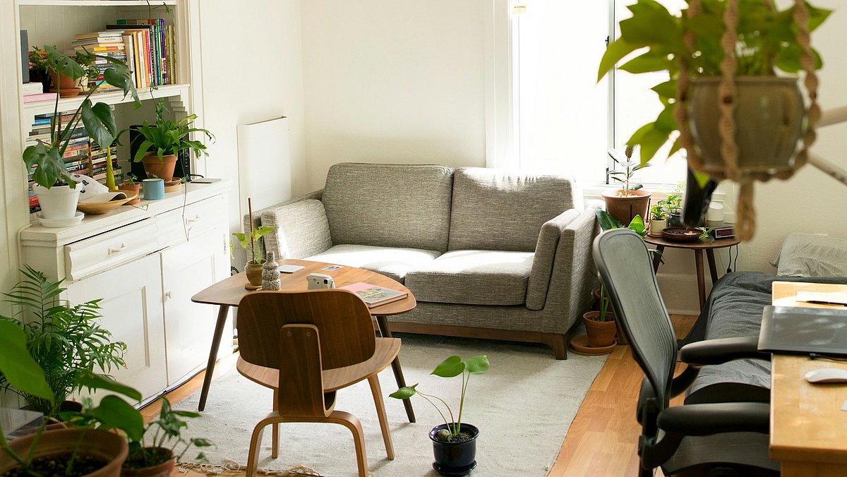 Ein eingerichtetes zimmer mit Sofa, Schreibtisch und vielen Pflanzen