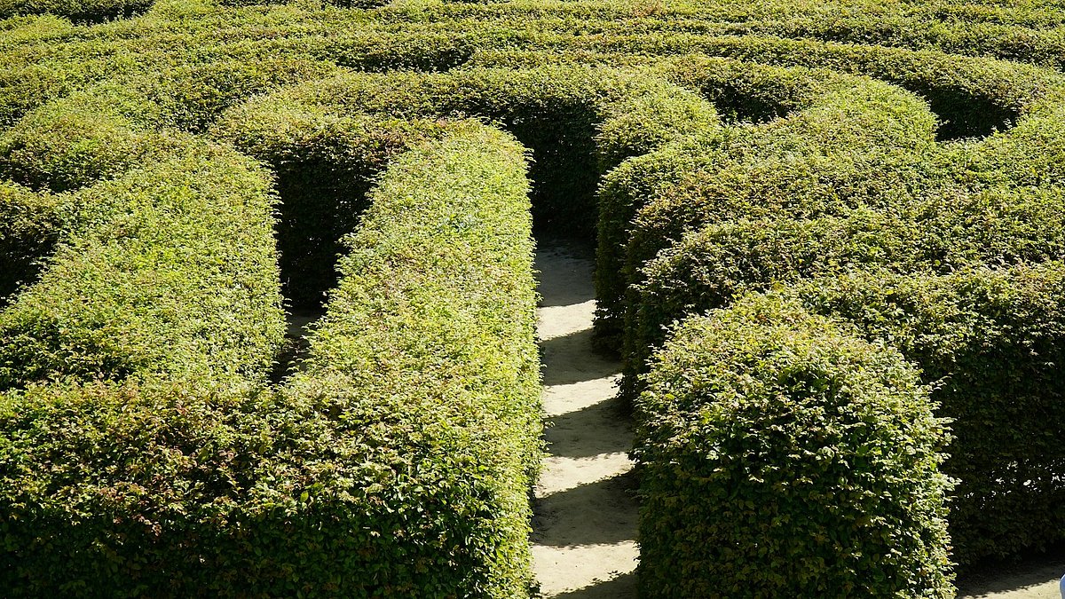 Ein Labyrinth aus Büschen