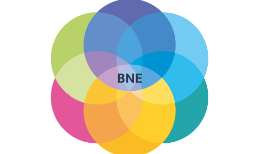 Bunte, ineinander übergehende Kreise in verschiedenen Farben bilden ein überlappendes Muster. In der Mitte steht gut sichtbar der Schriftzug „BNE“