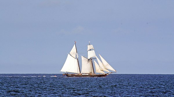 Traditionelles Segelschiff mit gesetzten weißen Segeln auf offener See. Das Schiff fährt auf ruhigem Wasser unter klarem Himmel und hebt sich deutlich vom Horizont ab.